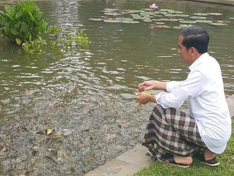 Jokowi di kolam