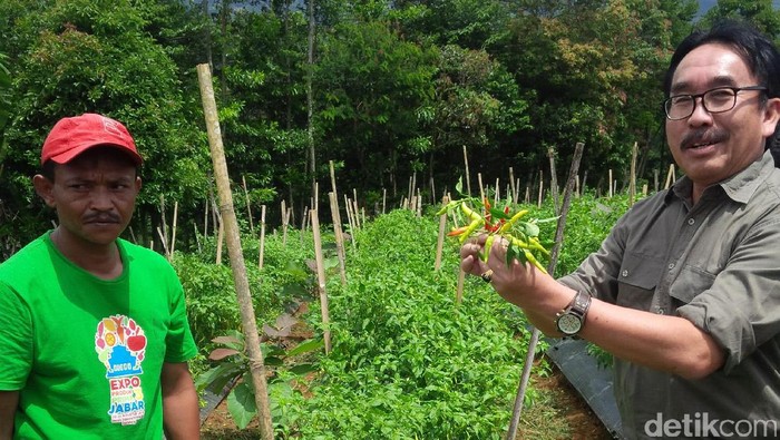 Kementan akan Pasarkan Cabai dan Bawang Lewat Toko Tani Indonesia