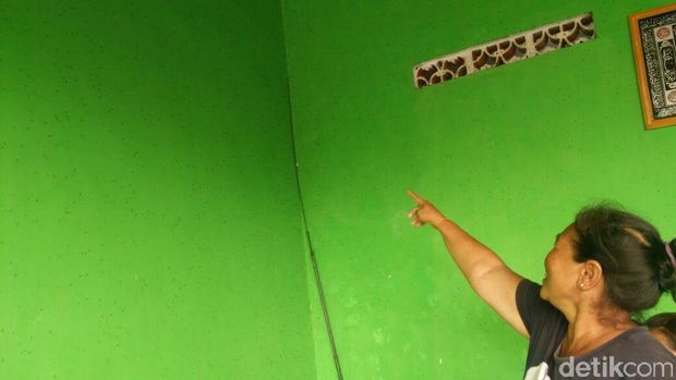 Nyamuk Hijau Di Banyuwangi Makhluk Apakah Sebenarnya Nyamuk Hijau Di Banyuwangi Makhluk Apakah Sebenarnya