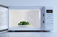 Memasak dengan Microwave Picu Kanker dan Merusak Nutrisi?
