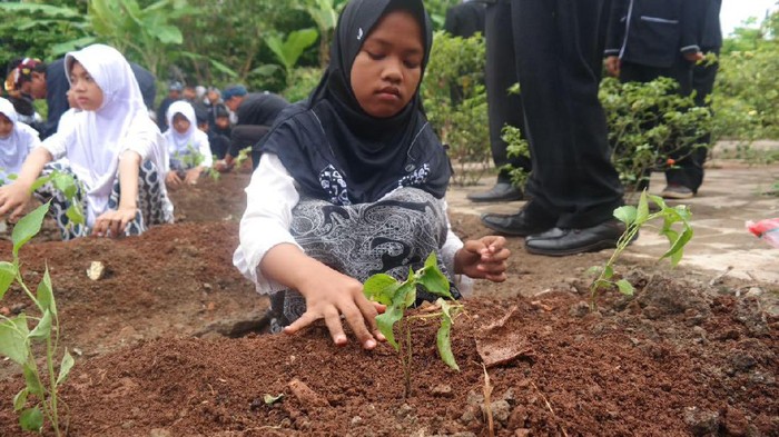Lewat #SuroboyoPedes, Komunitas ini Ajak Warga Tanam Cabai