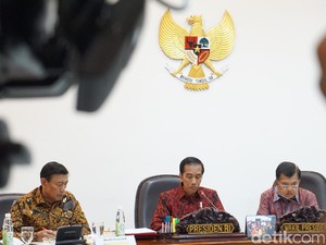 Jokowi: Tahun 2017, Target Restorasi Gambut 400 Ribu Hektare