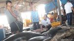 Kemenko PMK Kunjungi Kampung Nelayan Cilincing
