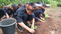  Pelajar Wajib Tanam Cabai di Sekolah dan Rumah