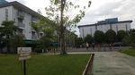 Geliat Palembang Menuju Asian Games 2018