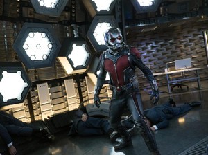 Apa Peran Ant-Man di Avengers: Infinity War?