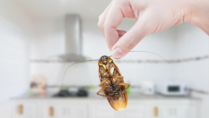 Foto: Thinkstock Foto: Thinkstock