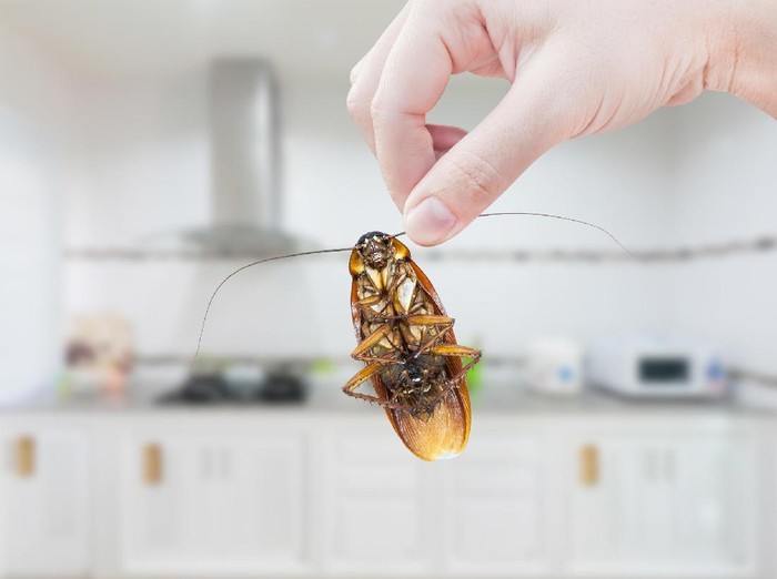 Foto: Thinkstock Foto: Thinkstock