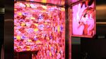 Kabukicho di Tokyo, Dari Striptis Sampai Gadis Penghibur