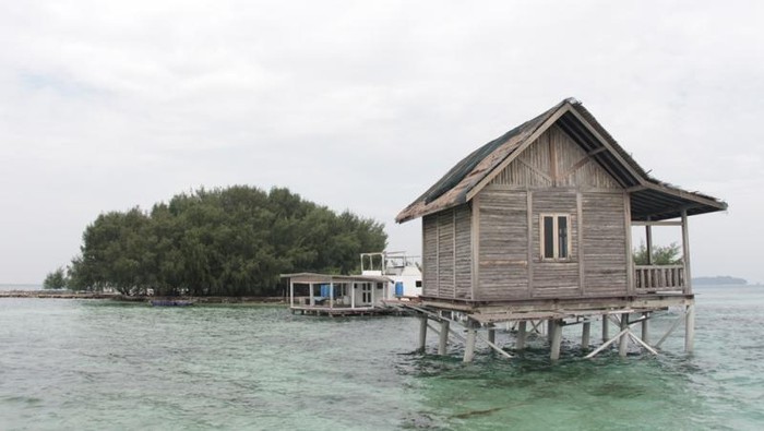 Asing Boleh Punya Pulau Pribadi di RI? Ini Jawaban Luhut