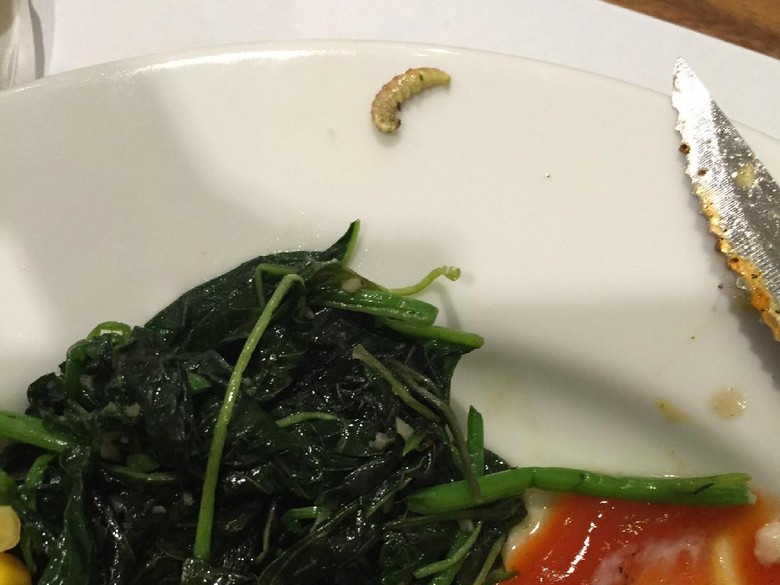 Ada Ulat di Bayam Holycow!, Ini Penjelasan Lucy Wiryono Ada Ulat di Bayam Holycow!, Ini Penjelasan Lucy Wiryono