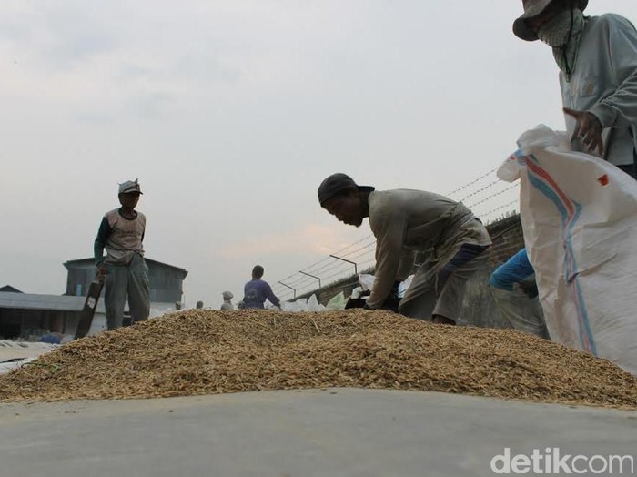 20 Titik Infrastruktur Pertanian di Pemkab Pasuruan Dibenahi