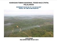 Kawasan Taman Nasional Tesso Nilo Dibakar, Ini Penampakannya