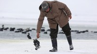 Seorang nelayan mengevakuasi burung yang mati. REUTERS/Ognen Teofilovski.