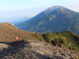 Cerita Suara Misterius di Pasar Bubrah, Pendaki Merapi Pasti Tahu
