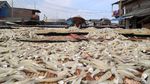 Perajin Ikan Asin Terkendala Cuaca