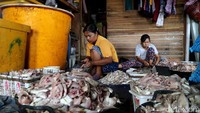 Ikan-ikan dibersihkan sebelum direndam dengan garam.