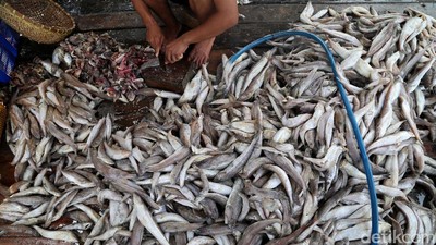 Perajin Ikan Asin Terkendala Cuaca