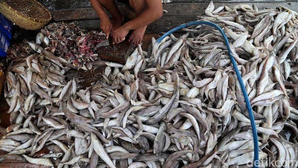 Perajin Ikan Asin Terkendala Cuaca