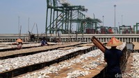 Aktifitas terminal peti kemas terlihat di belakang penjemur ikan asin.