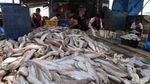 Perajin Ikan Asin Terkendala Cuaca