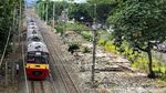 Kondisi Rawajati Kalibata Terkini