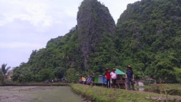 Rammang-rammang, Karst Spektakuler dari Sulawesi