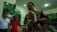  Lucunya 3 Anak Harimau yang Baru Lahir di Bonbin Semarang