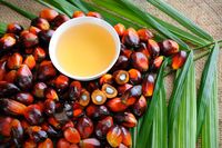 Disebut Gunakan Bahan Penyebab Kanker, Ini Penjelasan Nutella