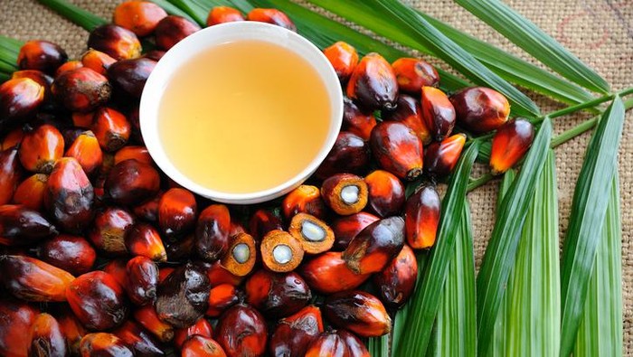 Would Banning Palm Oil Increase Sustainability?