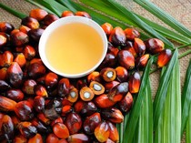 Nilai Transaksi OLEIN Melonjak 338% Tembus Rp 3,83 T