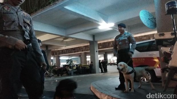 Dora dan Brandon, Anjing Andalan Polda Metro Amankan Debat Cagub DKI