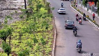 Sejumlah pohon membuat kawasan ini terlihat asri.