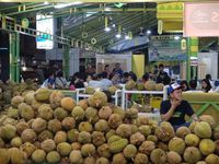 Long Weekend di Medan, Ini Pilihan Destinasinya