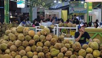 Ini ragam pilihan durian asli Medan yang bisa Anda pilih dan makan langsung di tempat. Wah, tak sabar untuk mencicip! Foto: (Afif/detikTravel)
