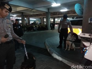 Dora dan Brandon, Anjing Andalan Polda Metro Amankan Debat Cagub DKI