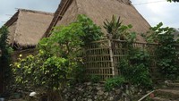 Terdapat satu masjid yang telah berumur ratusan tahun di desa adat ini. Masjid ini terbuat dari kayu, beralas tanah dan beratap daun ilalang (Masaul/detikTravel)