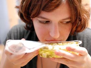 8 Makanan yang Sering Jadi Perantara Bakteri Penyebab Keracunan