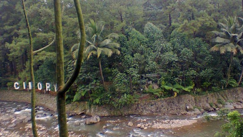 Liburan ke Cimory Weekend Ini, Bikin Fresh dan Perut Kenyang/Foto: (Ela Herdiani/dTraveler) Liburan ke Cimory Weekend Ini, Bikin Fresh dan Perut Kenyang/Foto: (Ela Herdiani/dTraveler)
