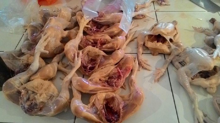 Pasokan Kurang, Harga Daging Ayam Naik Jadi Rp 38.000/Kg