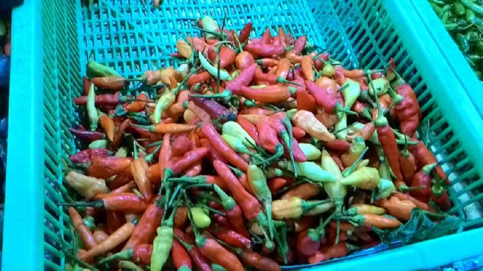 Harga Cabai Rawit Merah di Indonesia Rata-Rata Rp 94.700/kg