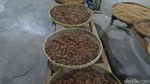 Liburan ke Yogya, Jangan Lupa Icip Sedapnya Kopi Luwak