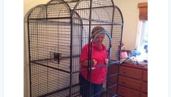 Ada fans yang bercanda bahwa di akan terus mengurung neneknya jika City tak segera memecat Guardiola. Foto: Istimewa