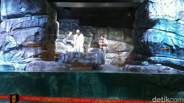 Pajang Penguin Hidup, Resto di Jakbar Pasang Tarif Masuk Rp 300 Ribu