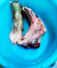 Seram! Restoran China Sajikan Makanan Mirip Potongan Kaki Manusia