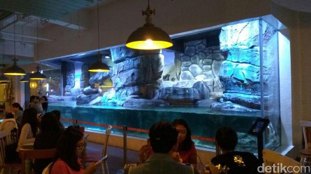 Begini Penampakan Penguin-penguin Hidup di Resto di Jakbar