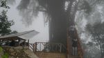 Air Terjun & Jembatan Gantung Fotogenik di Bogor