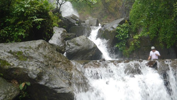Ada keistimewaan yang bisa traveler temui di Curug Ciherang, yaitu bentuk air terjun yang berundak tiga. Selain itu, airnya jernih dan segar. (Kurnia Yustiana) Ada keistimewaan yang bisa traveler temui di Curug Ciherang, yaitu bentuk air terjun yang berundak tiga. Selain itu, airnya jernih dan segar. (Kurnia Yustiana)