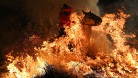 Para penunggang kuda dengan gagah berani menembus kobaran api. Walau ekstrem, tradisi tersebut sudah berlangsung lebih dari 500 tahun yang lalu. Pool/Sergio Perez/detikFoto.