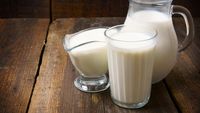 Tingkatkan Kekebalan Tubuh hingga Bikin Awet Muda, Ini Manfaat Minum Susu Unta